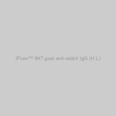 Image of iFluor™ 647 goat anti-rabbit IgG (H+L)